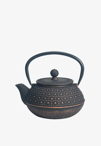 cast iron teapot