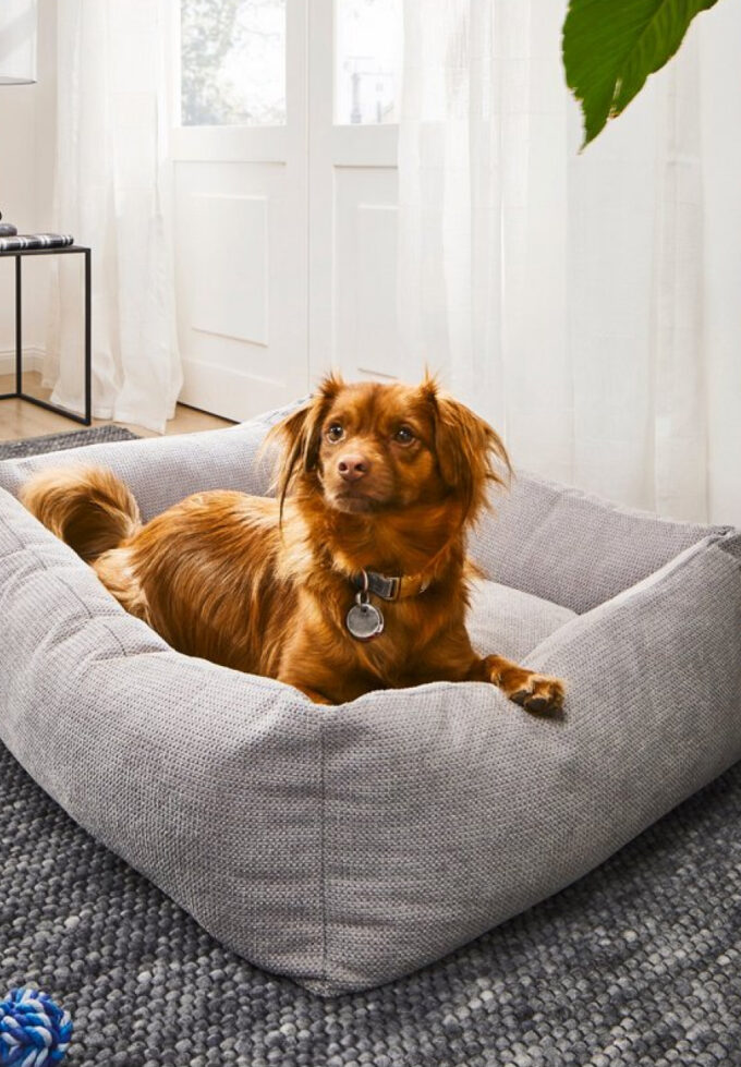 dog bed grey