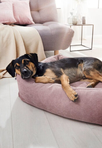 dog bed pink