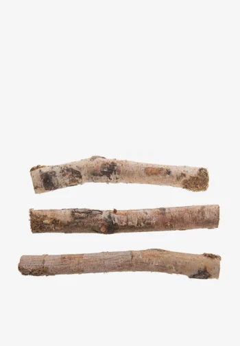 Tres ramas de abedul natural con corteza para decoración